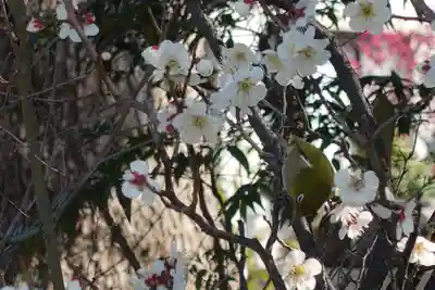 菅原天満宮（菅原神社）(奈良県)