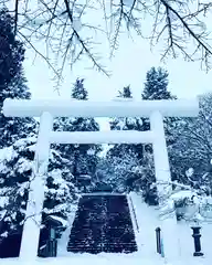 土津神社｜こどもと出世の神さまの鳥居