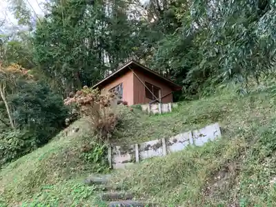 夷隅神社の自然