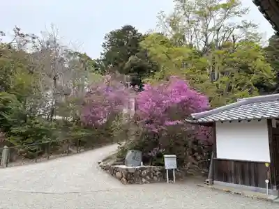 満願寺(兵庫県)