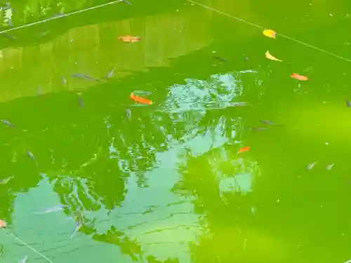 神炊館神社 ⁂奥州須賀川総鎮守⁂(福島県)