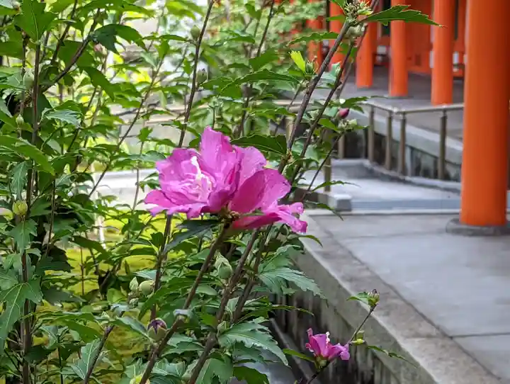蓮華王院(三十三間堂)(京都府)