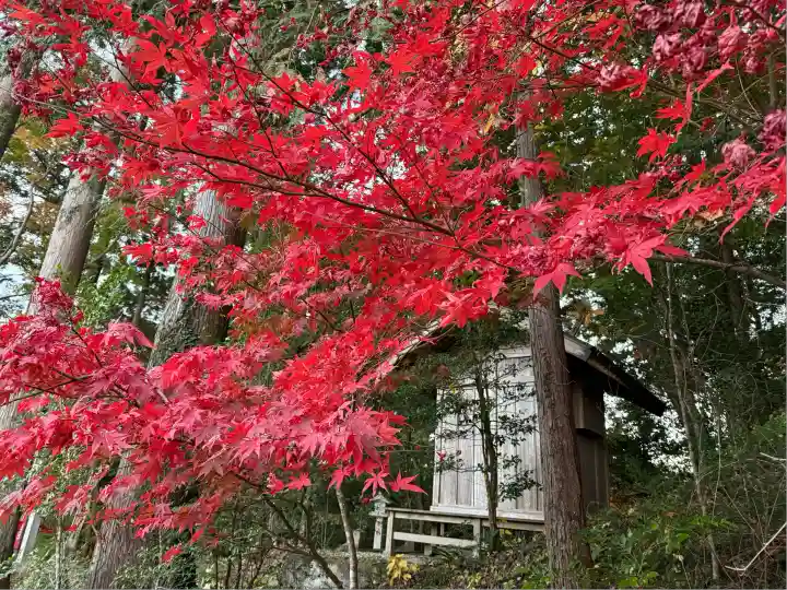 秩父御嶽神社(埼玉県)