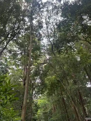大神神社(奈良県)