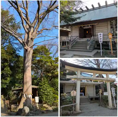 前鳥神社(神奈川県)