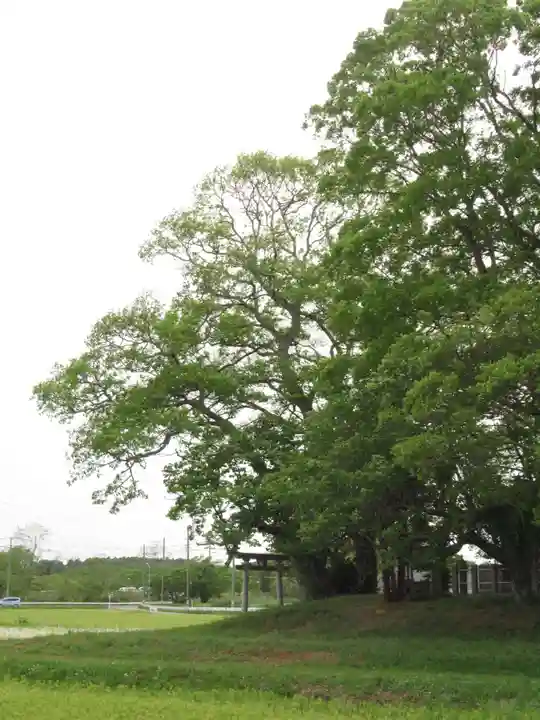 神明神社(千葉県)