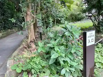 永福寺跡（永福寺址）(神奈川県)
