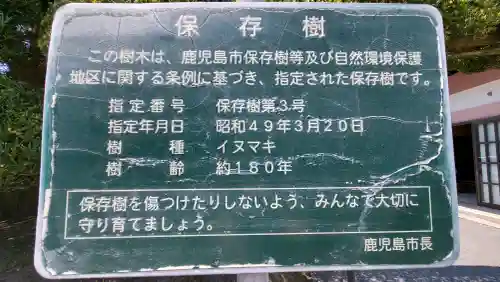 照國神社の{uncategorized: "未分類", other: "その他", undefined: "問題あり", building: "その他建物", grave: "お墓", sacred_gate: "鳥居", guardian: "狛犬", statue: "像", buddha: "仏像", history: "歴史", nature: "自然", garden: "庭園", animal: "動物", pagoda: "塔", temizu: "手水舎", mountain_gate: "山門・神門", sanctuary: "本殿・本堂", subordinate: "末社・摂社", art: "芸術", scenery: "景色", jizo: "地蔵", ema: "絵馬", goshuin: "御朱印", omikuji: "おみくじ", items: "授与品その他", amulet: "お守り", goshuincho: "御朱印帳", eats: "食事", festival: "お祭り", votive_dance: "神楽", shichigosan: "七五三参", wedding: "結婚式", experience: "体験その他", initially: "初詣", around: "周辺", anti_infection: "感染症対策"}