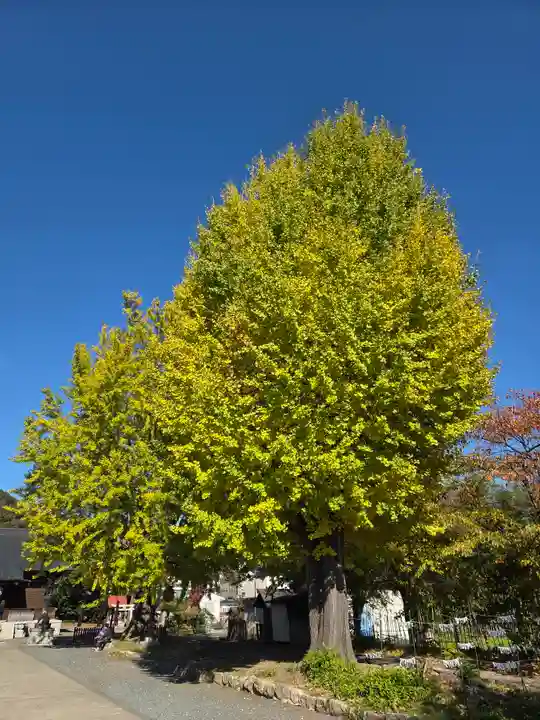 飯坂八幡神社(福島県)