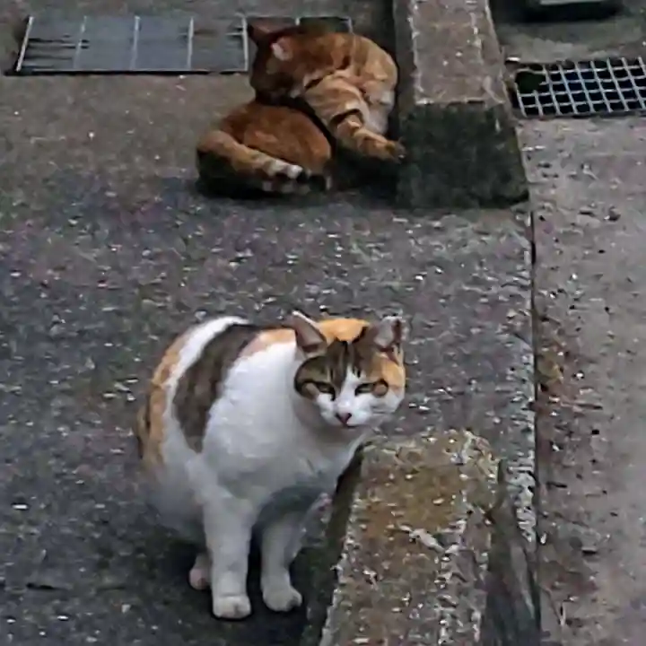 柴籬神社(大阪府)