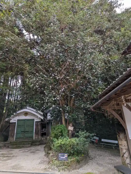 八大神社(京都府)