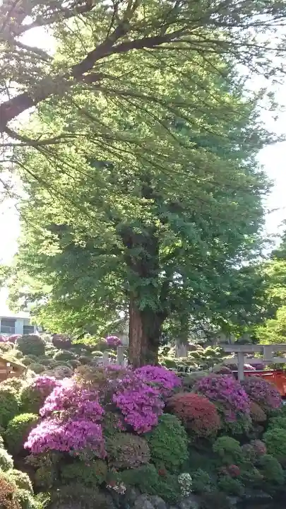 根津神社(東京都)