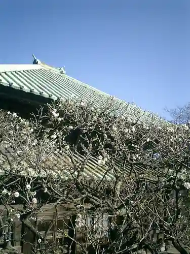 英勝寺の本殿・本堂