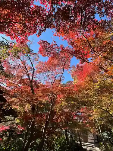 善法律寺(京都府)