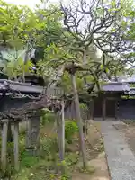 東慶寺の自然