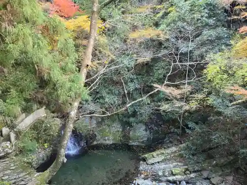 大本山七宝瀧寺(大阪府)
