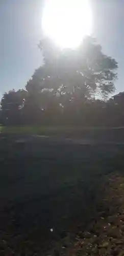 市助稲荷神社の自然