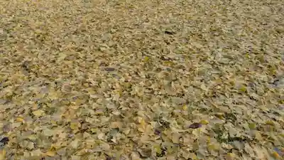 旭川別院(北海道)