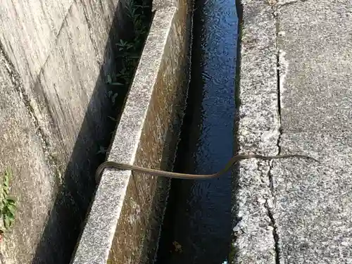 大斎原（熊野本宮大社旧社地）(和歌山県)