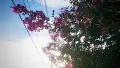 尾張大國霊神社（国府宮）の周辺