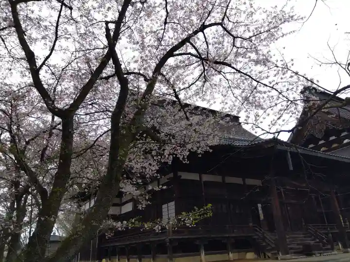 毫攝寺(福井県)