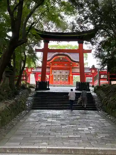 宇佐神宮の{uncategorized: "未分類", other: "その他", undefined: "問題あり", building: "その他建物", grave: "お墓", sacred_gate: "鳥居", guardian: "狛犬", statue: "像", buddha: "仏像", history: "歴史", nature: "自然", garden: "庭園", animal: "動物", pagoda: "塔", temizu: "手水舎", mountain_gate: "山門・神門", sanctuary: "本殿・本堂", subordinate: "末社・摂社", art: "芸術", scenery: "景色", jizo: "地蔵", ema: "絵馬", goshuin: "御朱印", omikuji: "おみくじ", items: "授与品その他", amulet: "お守り", goshuincho: "御朱印帳", eats: "食事", festival: "お祭り", votive_dance: "神楽", shichigosan: "七五三参", wedding: "結婚式", experience: "体験その他", initially: "初詣", around: "周辺", anti_infection: "感染症対策"}