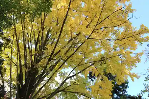 神炊館神社 ⁂奥州須賀川総鎮守⁂の自然