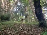 小又井観音(千葉県)