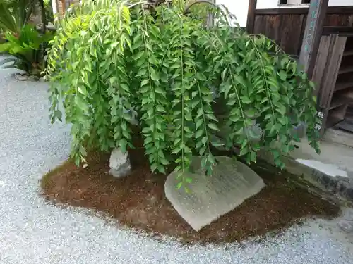 祥龍山 金剛寺のその他建物