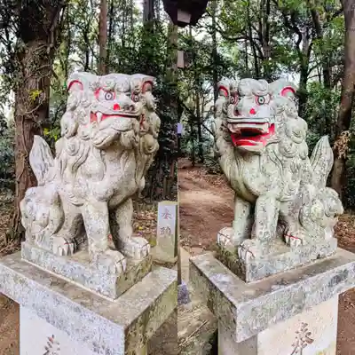 桑橋熊野神社の狛犬