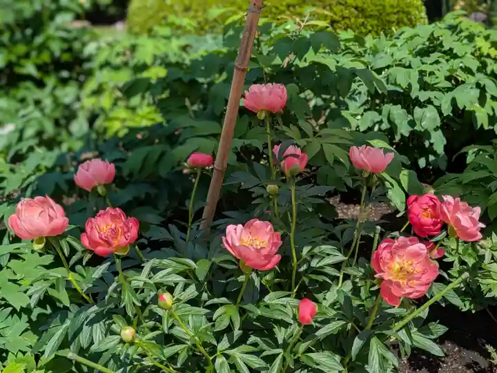 上野東照宮(東京都)