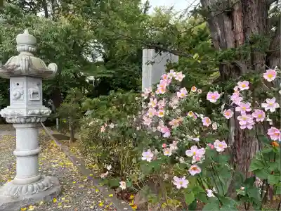 信濃神社(北海道)