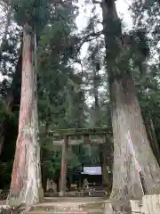 室生龍穴神社の鳥居