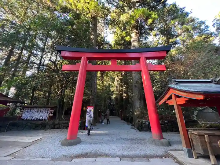 箱根神社(神奈川県)