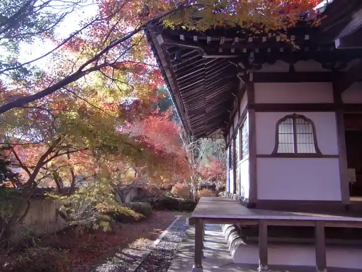 玉龍寺(岐阜県)