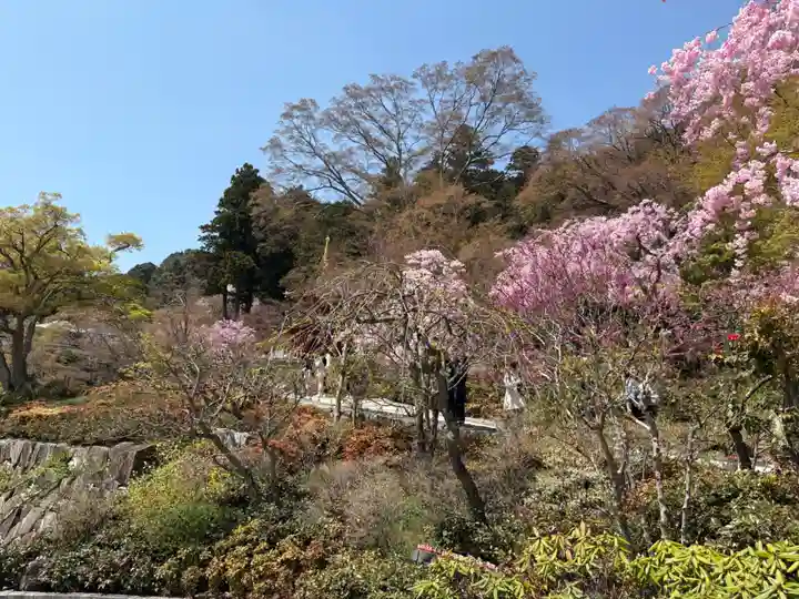 勝尾寺(大阪府)
