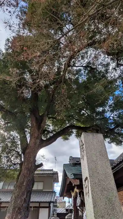 猿田彦神社(京都府)