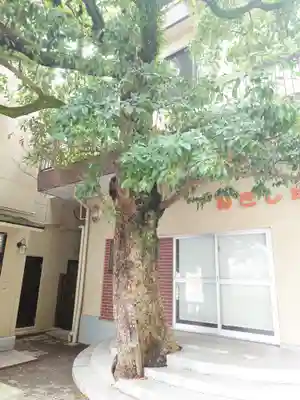 根岸八幡神社(神奈川県)