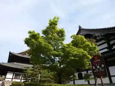 東福禅寺(東福寺)(京都府)