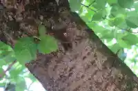 三津厳島神社(愛媛県)