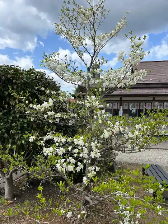 今市報徳二宮神社(栃木県)