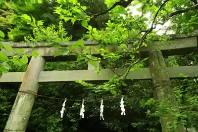 荏柄天神社(神奈川県)