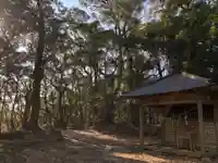 浅間神社の自然