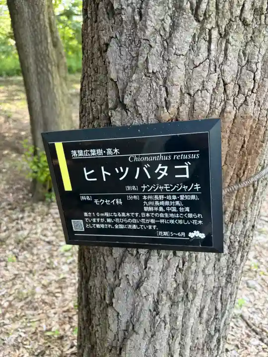 深大寺(東京都)