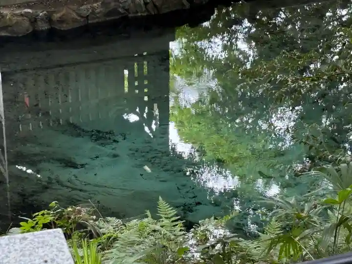 泉神社(茨城県)