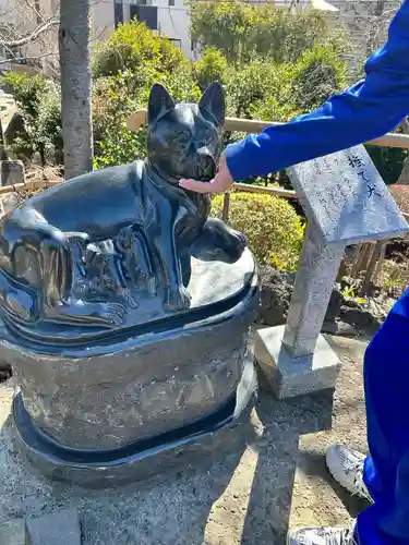 鎮守氷川神社(埼玉県)