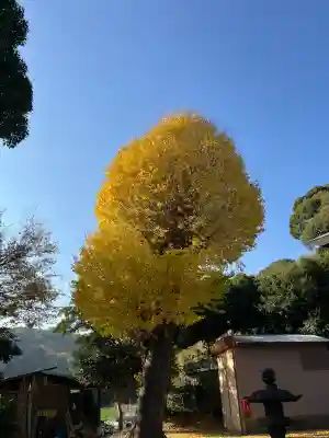 三浦正八幡宮(神奈川県)