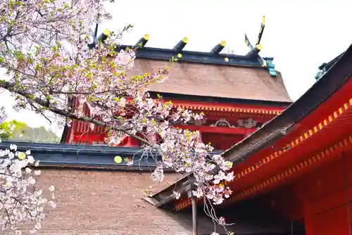 富士山本宮浅間大社(静岡県)