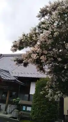 涅槃寺の自然
