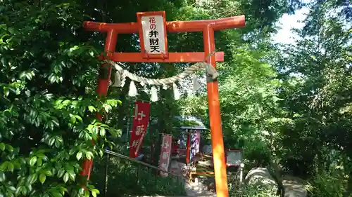 尾曳稲荷神社の鳥居